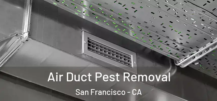 Air Duct Pest Removal San Francisco - CA