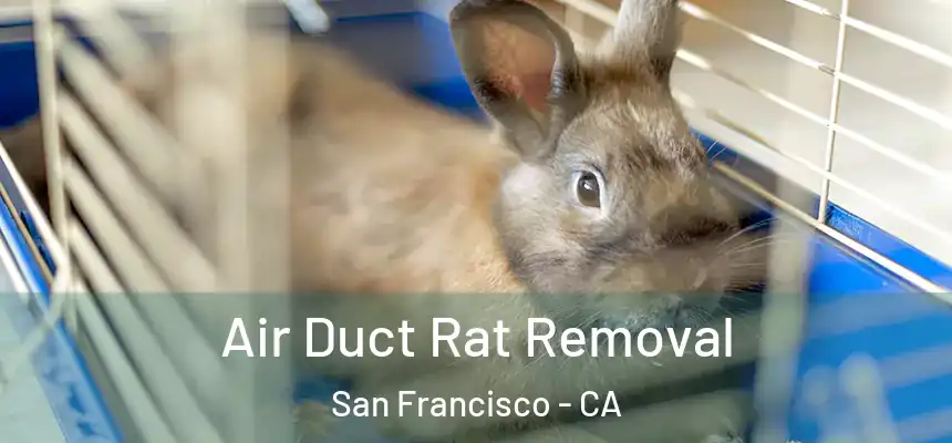 Air Duct Rat Removal San Francisco - CA
