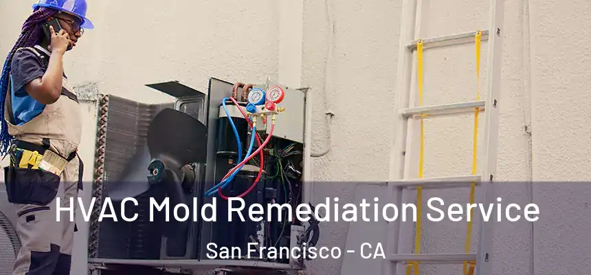 HVAC Mold Remediation Service San Francisco - CA