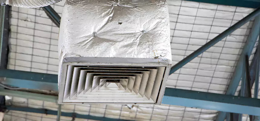 Our HVAC Mold Remediation Service Services in San Francisco, CA