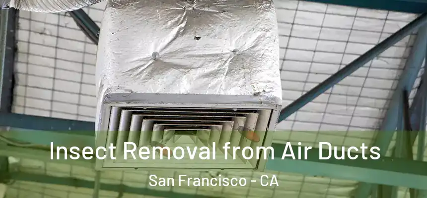 Insect Removal from Air Ducts San Francisco - CA