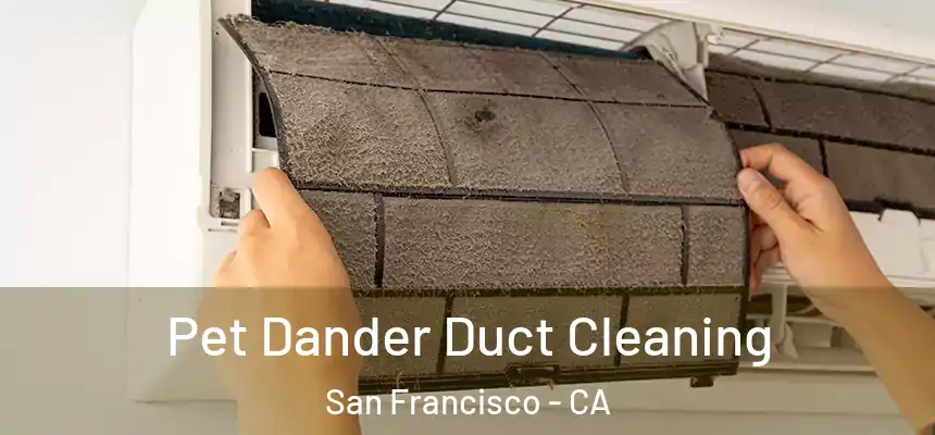 Pet Dander Duct Cleaning San Francisco - CA