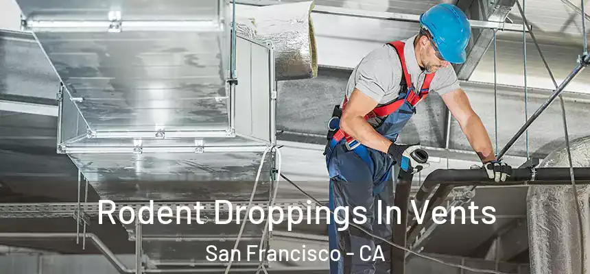 Rodent Droppings In Vents San Francisco - CA