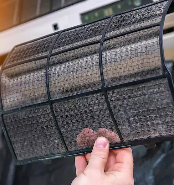 About Pet Dander Duct Cleaning in San Francisco, CA